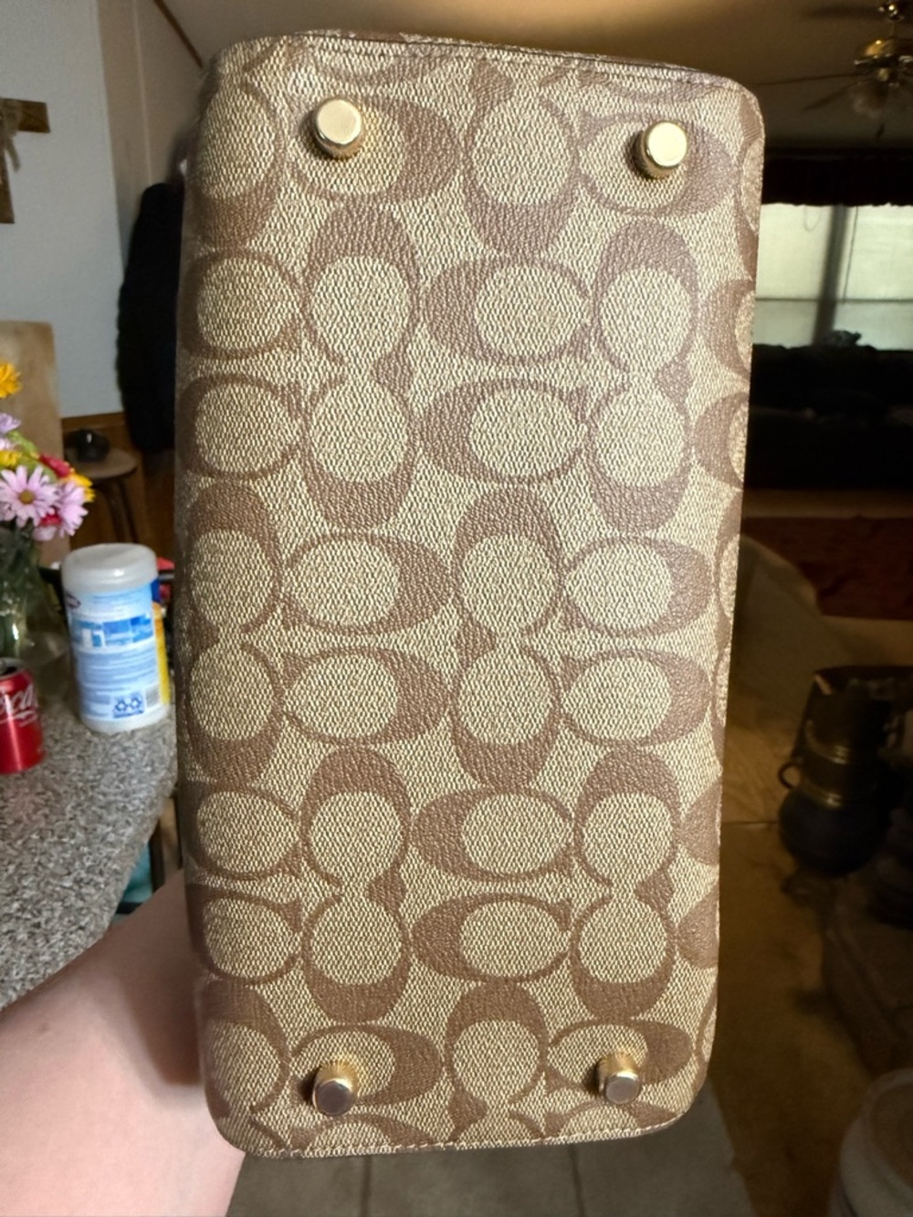 Coach X Disney collab Rowan - Picture 6 of 6